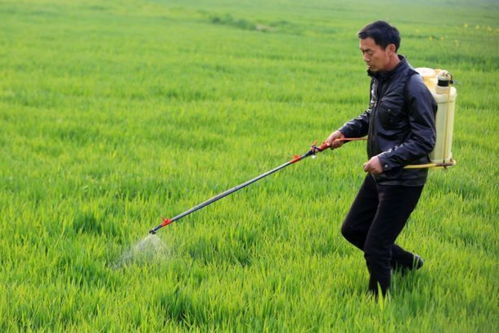 糧食作物病蟲害預計激增24%，農業面源與重金屬污染防治技術亟待強化