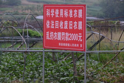 榮縣強化農業面源污染治理，回收農業廢棄物700噸