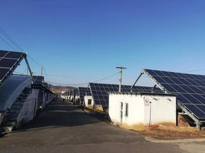 高平村脫貧之路 農業面源與重金屬污染防治技術服務雙輪驅動