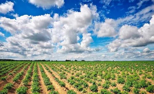 微生物 下一場農業革命的突破口與污染防治新希望